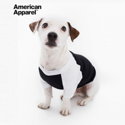 아메리칸어패럴 강아지 나그랑티셔츠